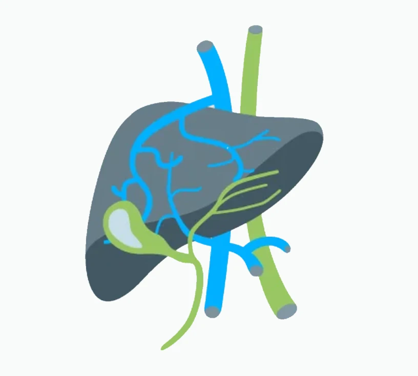 Liver cancer