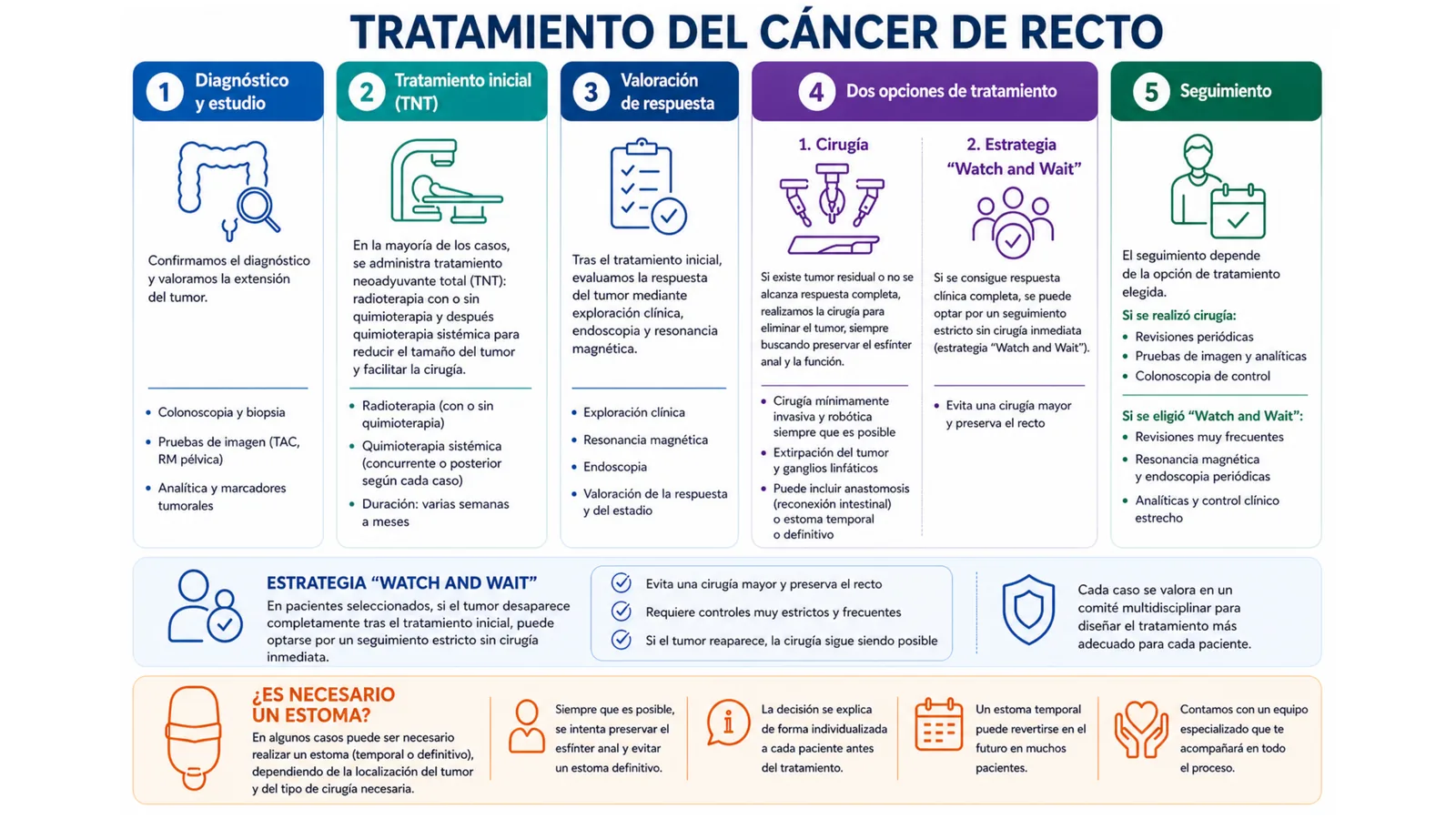 Infografía del tratamiento del cáncer de recto en cinco pasos: diagnóstico, tratamiento inicial TNT, valoración de la respuesta, cirugía o watch and wait, y seguimiento