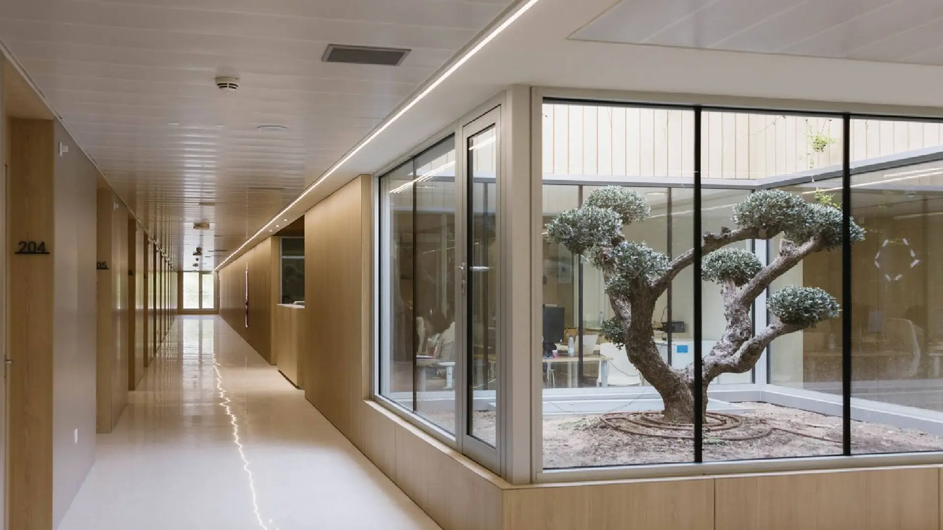 María Cordón at Hospital Memorial Publio Cordón, Madrid - El Confidencial